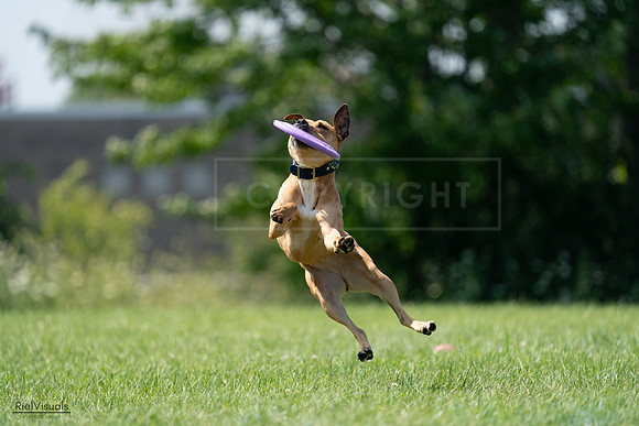 RielVisuals_20240728_150740_SJR00151
