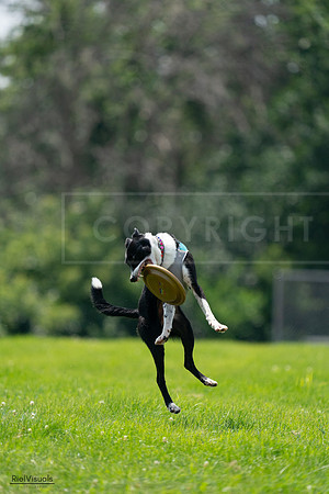 RielVisuals_20240728_132729_SJR06242