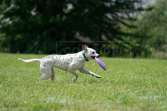 RielVisuals_20240728_133548_SJR06715