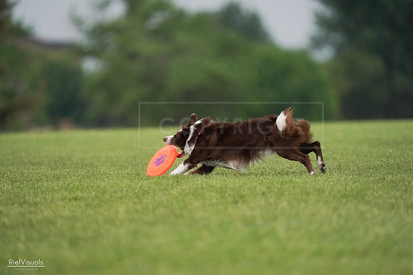 RielVisuals_20240527_091245_SJR06410