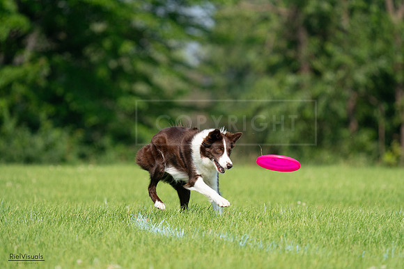RielVisuals_20240727_095817_SJR08131