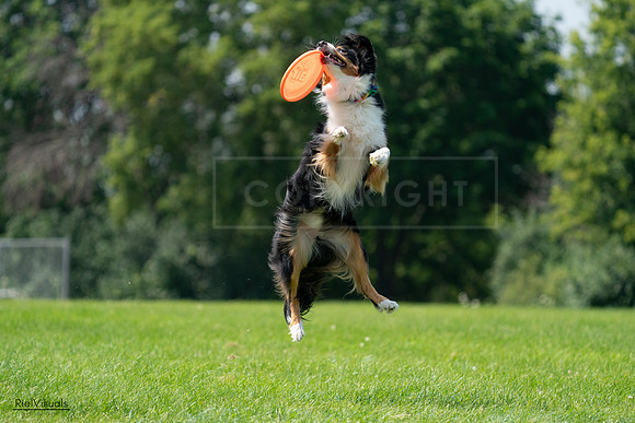 RielVisuals_20240728_121602_SJR03420