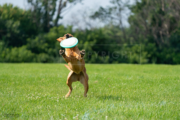 RielVisuals_20240728_104026_SJR08848