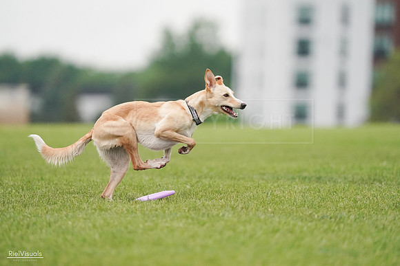 RielVisuals_20240527_110716_SJR03030