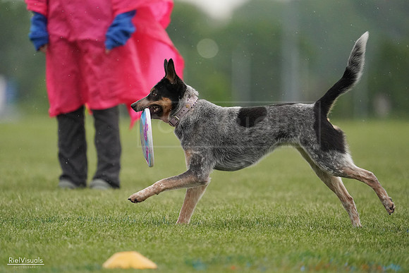 RielVisuals_20240526_091733_SJR09573
