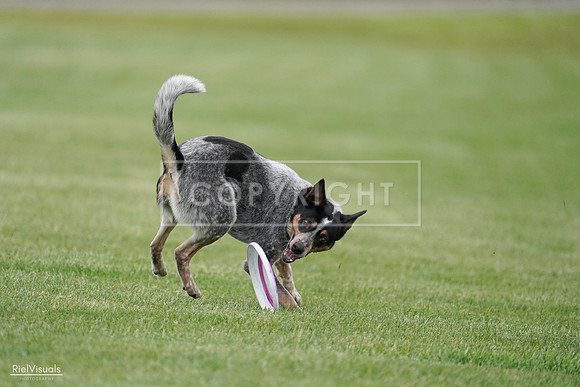 RielVisuals_20240525_170149_SJR05914
