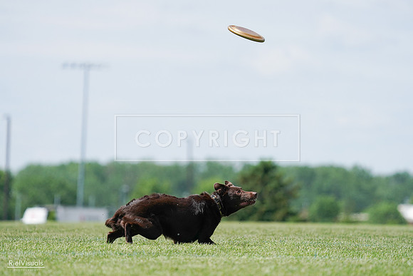 RielVisuals_20240525_120812_SJR08778