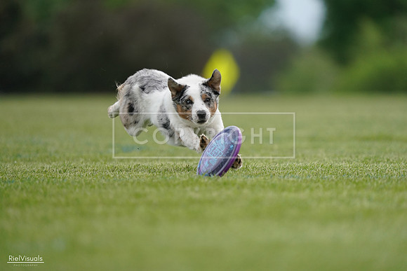 RielVisuals_20240525_161311_SJR03864