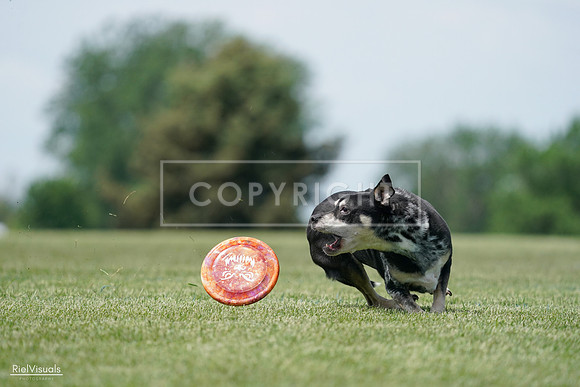RielVisuals_20240525_123143_SJR00218