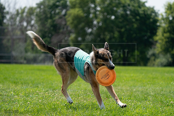 RielVisuals_20240728_140345_SJR07924