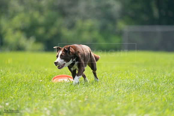 RielVisuals_20240728_135821_SJR07690