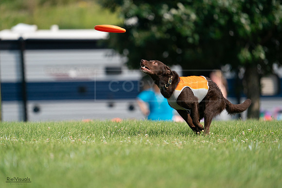RielVisuals_20240728_095836_SJR06813