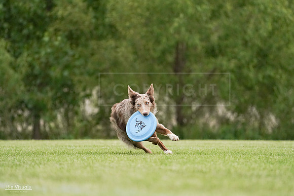 RielVisuals_20240526_130012_SJR06438