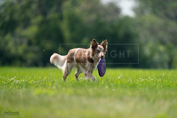 RielVisuals_20240727_131221_SJR07162