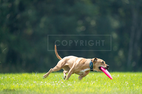 RielVisuals_20240727_121937_SJR05348