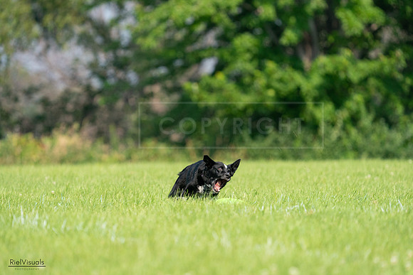 RielVisuals_20240727_094412_SJR07411