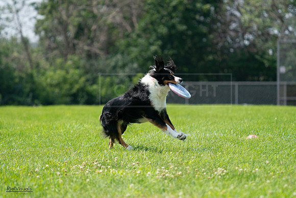 RielVisuals_20240728_121539_SJR03392