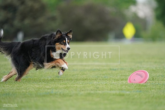RielVisuals_20240525_171349_SJR06526