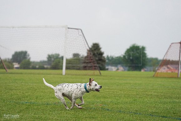 RielVisuals_20240527_105800_SJR02347