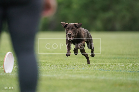 RielVisuals_20240525_162802_SJR04538