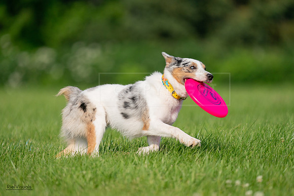 RielVisuals_20240727_092235_SJR06100