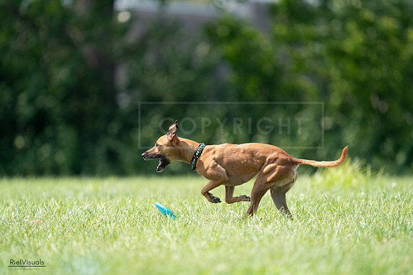 RielVisuals_20240728_150215_SJR09894