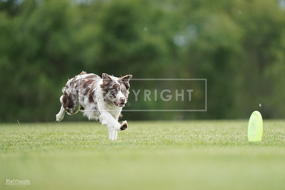 RielVisuals_20240525_161120_SJR03750