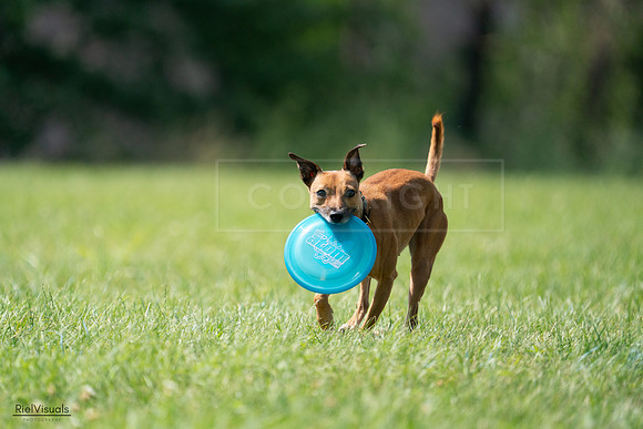 RielVisuals_20240728_150156_SJR09843