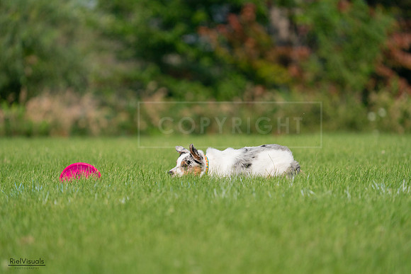 RielVisuals_20240727_092207_SJR05998