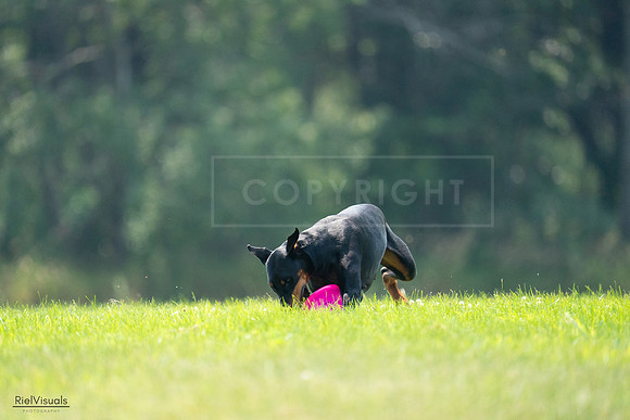RielVisuals_20240727_121325_SJR05028