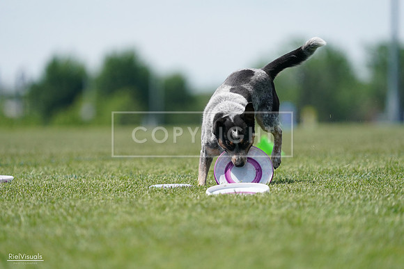 RielVisuals_20240525_122334_SJR09731