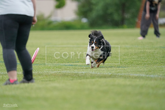 RielVisuals_20240525_164524_SJR05334