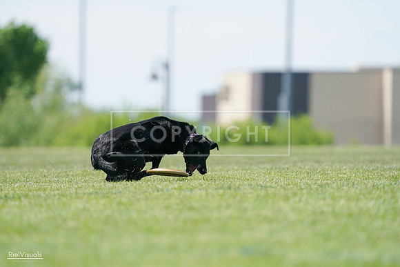 RielVisuals_20240525_122508_SJR09794