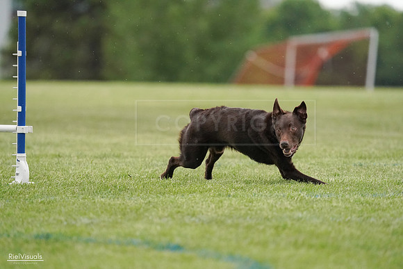 RielVisuals_20240526_091057_SJR09409