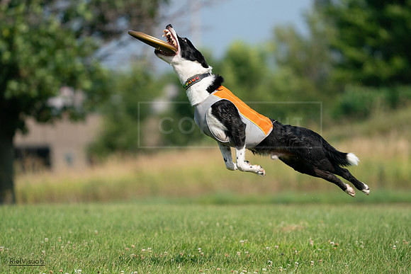 RielVisuals_20240728_101519_SJR07529