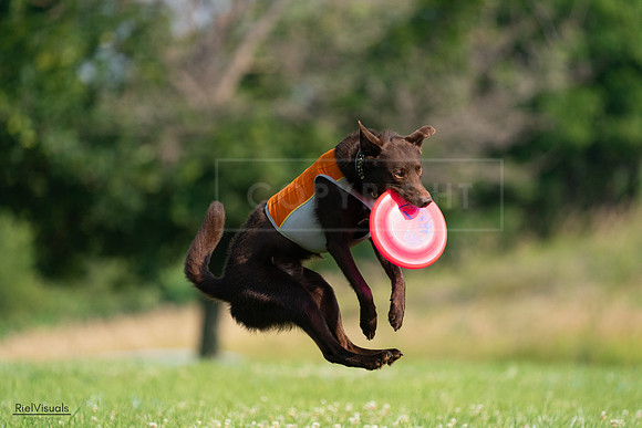 RielVisuals_20240727_092520_SJR06292