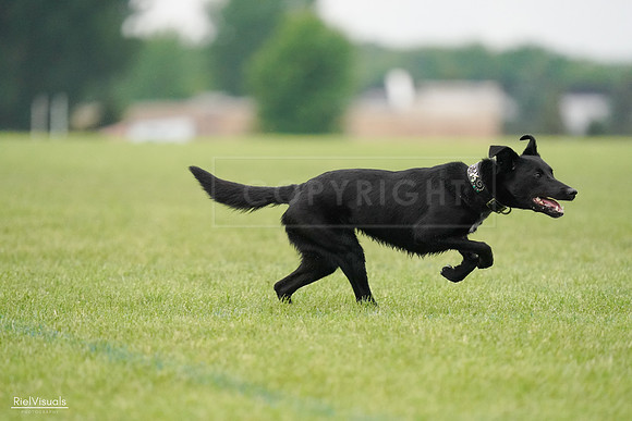 RielVisuals_20240527_110247_SJR02650