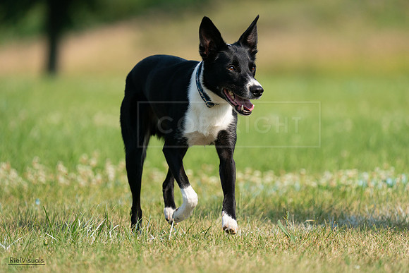 RielVisuals_20240727_094622_SJR07511