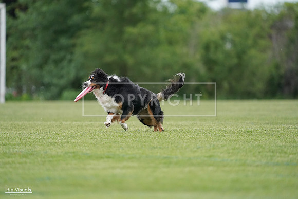 RielVisuals_20240525_164633_SJR05452