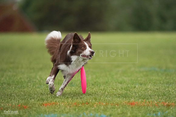 RielVisuals_20240527_091411_SJR06559