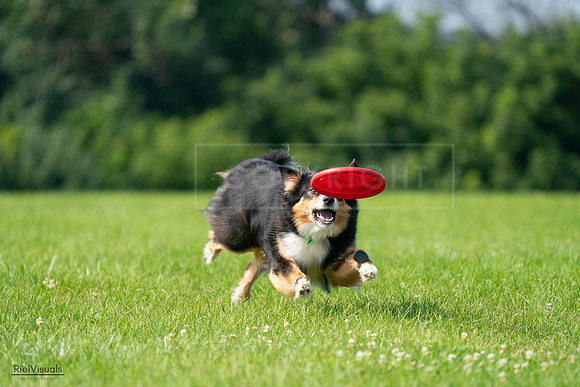 RielVisuals_20240728_100336_SJR07083