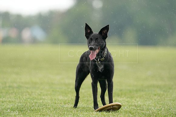 RielVisuals_20240526_092446_SJR09940