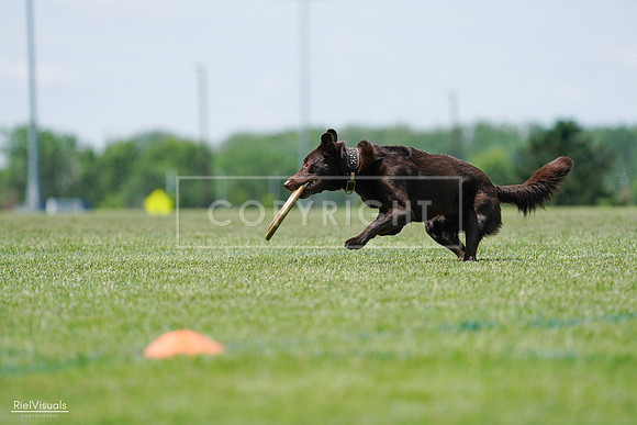 RielVisuals_20240525_120842_SJR08887