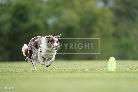RielVisuals_20240525_161120_SJR03753