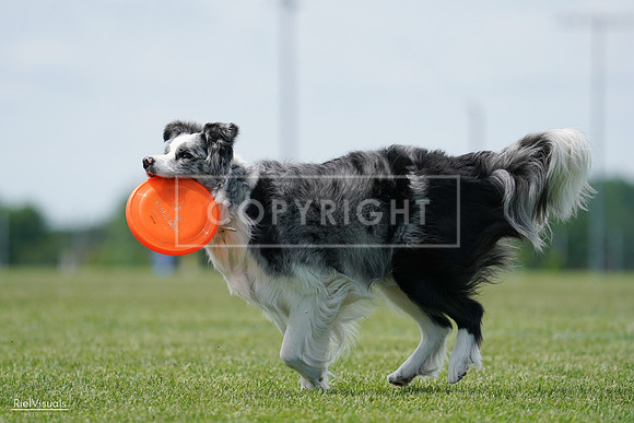 RielVisuals_20240525_123541_SJR00474