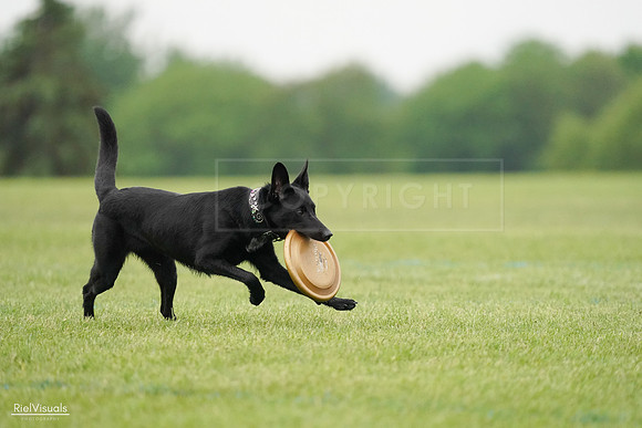 RielVisuals_20240527_110339_SJR02748