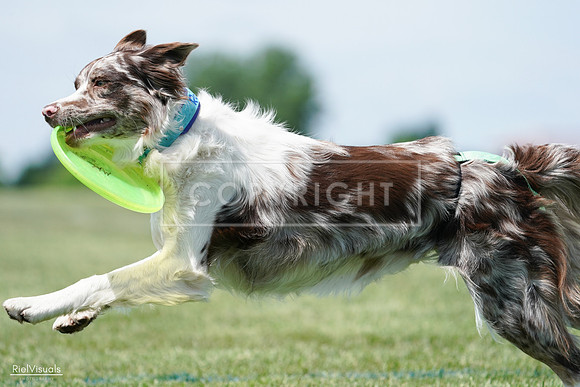 RielVisuals_20240525_120519_SJR08579