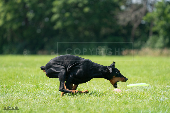 RielVisuals_20240728_122758_SJR03953