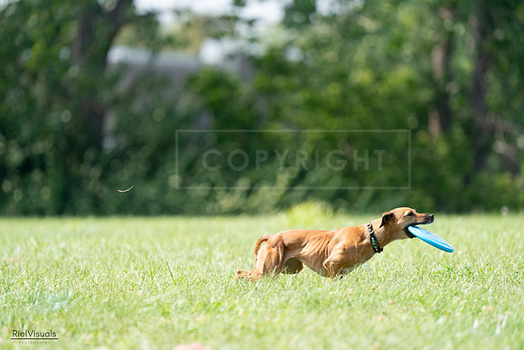 RielVisuals_20240728_150232_SJR09942