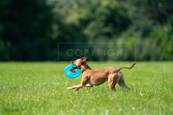 RielVisuals_20240728_102604_SJR08052